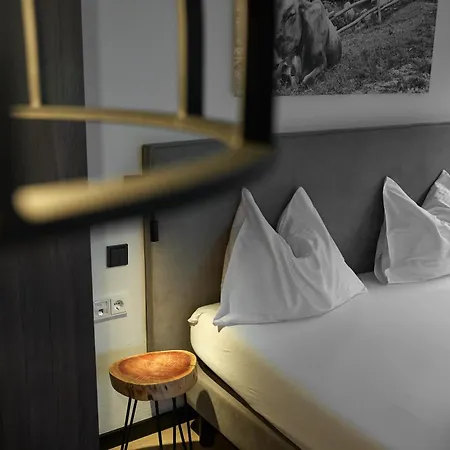 Alpin-resort Montafon 